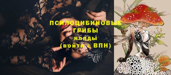 синтетический гашиш Богородицк