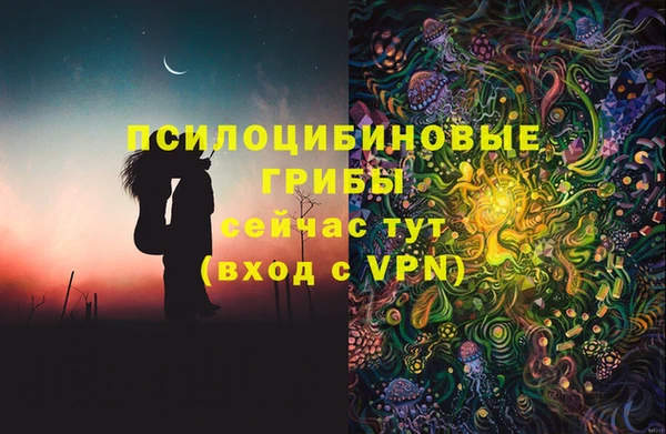 синтетический гашиш Богородицк