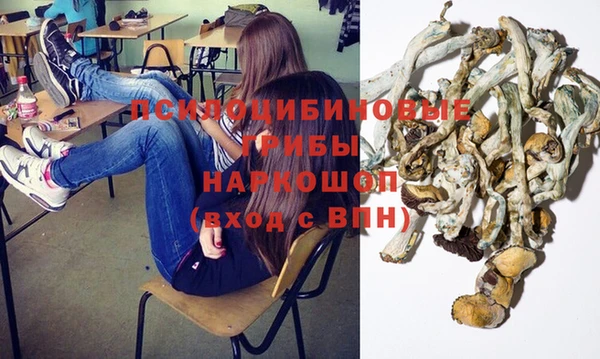 синтетический гашиш Богородицк